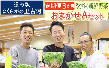 [定期便3か月]道の駅まくらがの里古河 季節の新鮮野菜おまかせAセット ※北海道・沖縄・離島への配送不可 _BQ05