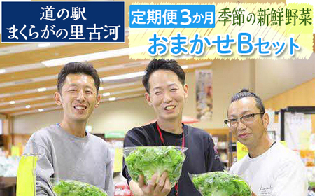 [定期便3か月]道の駅まくらがの里古河 季節の新鮮野菜おまかせBセット_BQ06 ※北海道・沖縄・離島への配送不可