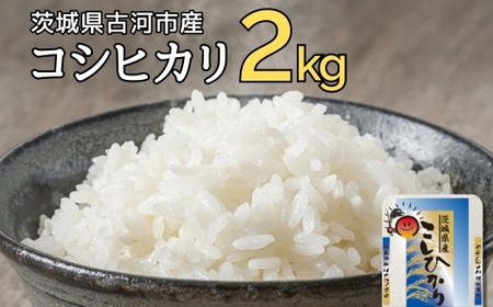yVāzߘa7NY É͎ŝ RVqJ 2kg |   R 2L Ђ RVqJ É͎sY 錧Y  蕨 v[g 錧 É͎s  Yn  w