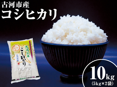 令和6年産 新米 10kg 関東平野で育った古河市産コシヒカリ 10kg (5kg×2袋) | こめ 米 コメ こしひかり 10キロ 古河市産 茨城県産 _DG02 ※北海道・沖縄・離島への配送不可