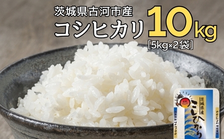 新米 令和6年産 古河市のお米 コシヒカリ 10kg(5kg×2袋) ※着日指定可 