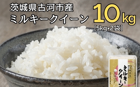 新米 令和6年産 古河市のお米 ミルキークイーン 10kg(5kg×2袋) ※着日指定可 