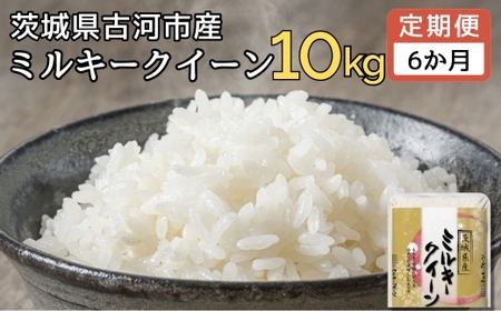 y 6z yVāzߘa7NY É͎sY~L[NC[ 10kg(5kg×2) |   R ݂邫[[ P Y Yn 錧 É͎s _DP94