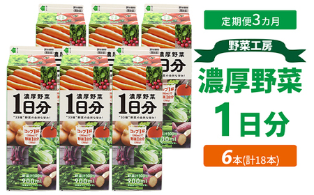 [定期便3カ月]野菜工房 濃厚野菜1日分 6本 | 野菜 ドリンク ジュース 砂糖不使用 食塩不使用 朝食 野菜ジュース 飲みやすい 便利 手軽 おいしい 美味しい 茨城県 古河市 _DT16