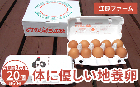 [定期便3か月] 江原ファーム 体に優しい地養卵(20個)|卵 たまご タマゴ 生みたて 産みたて 新鮮 濃厚 健康 赤玉 産地直送_AG22
