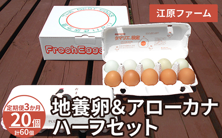 [定期便3か月] 江原ファーム 地養卵&アローカナハーフセット(計20個)|卵 たまご タマゴ 生みたて 産みたて 新鮮 濃厚 健康 赤玉 青い卵 産地直送_AG25