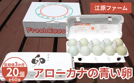 [定期便3か月] 江原ファーム アローカナの青い卵(20個)|卵 たまご タマゴ 生みたて 産みたて 新鮮 濃厚 健康 青い卵 産地直送_AG28