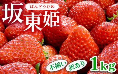 ⓌP 1kg s󂠂b  C`S 󂠂 ⓌY ʕ t[c gق IWi uh Ԍ Gߕ 錧 É͎s_CB21 kCEEւ̔zs 2025N12