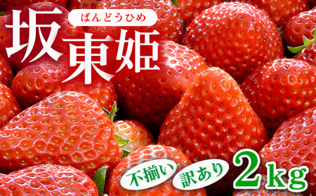 ⓌP 2kg s󂠂b  C`S 󂠂 ⓌY ʕ t[c gق IWi uh Ԍ Gߕ  Â _ 錧 É͎s_CB22 kCEEւ