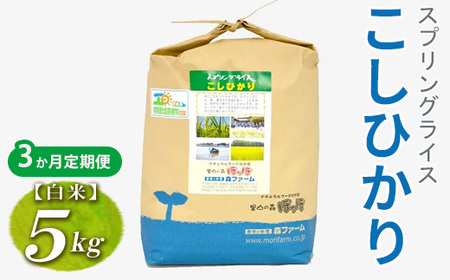 [定期便3か月]令和7年産 3か月毎月届く!スプリングライス こしひかり (白米) 5kg | 定期便 こめ 米 コメ 白米 白飯 精米 コシヒカリ 茨城県産 国産 茨城県 古河市 こだわり おいしい 2025年産 _FN17