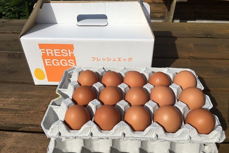 AG03_江原ファーム　体に優しい地養卵（３０個）◆