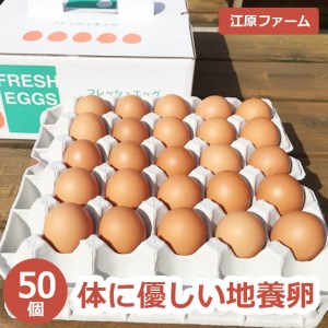 江原ファーム 体に優しい地養卵(50個)〇たまごタマゴ玉子卵