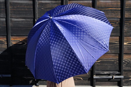 雪華模様のオリジナル傘（サイズ65cm）カラー：ネイビー_BL10◇