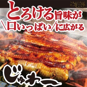 うなぎ蒲焼き&白焼きセット(蒲焼き:160g×1・白焼き:160g×1)_AT04