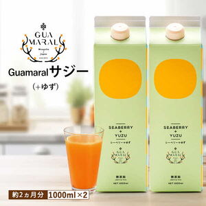 TW[W[X+䂸 1000ml×2{Zbg _DX05