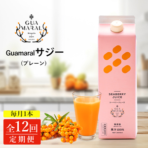 【定期便】 サジージュース 100% 1000ml×毎月1本 12ヶ月コース サジー シーベリー 沙棘 グアマラル 健康ドリンク 健康 美容 栄養 果汁 鉄分補給 栄養補給 健康食品_DX09