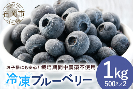 元気に育った ブルーベリー 1kg 冷凍 ( 500g 4パック ) 農薬 栽培期間中 不使用 果物 フルーツ 1キロ 手摘み 急速冷凍 国産 産地直送 農家直送 産直 夏 7月 以降 発送 くだもの スムージー ジャム ヨーグルト デザート 茨城 茨城県 石岡市 (A11-008)