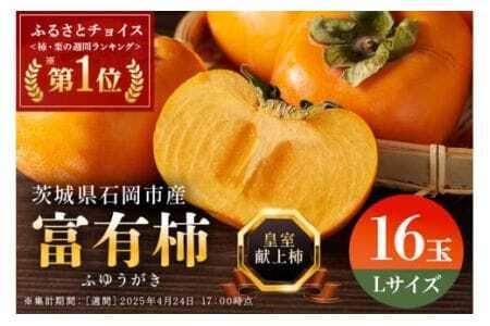 [令和7年分 先行予約]八郷柿出荷組合の 富有柿 L 16玉 柿 皇室献上 かき 富有カキ ( 1箱 ) 果物 フルーツ くだもの カキ 富有かき 秋 旬 高級 糖度 贈答用 贈答品 ギフト 贈り物 品種 ブランド 11月 12月 発送 産地直送 農家直送 産直 茨城県 石岡市 (A21-002)