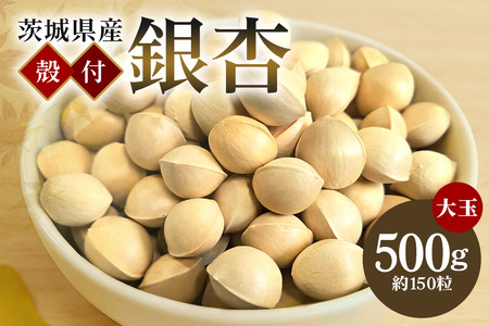   ( Ȃ )   kt Ⓚ 500g _sgp F i Mtg  { H Hi Y Ⓚۑ Yn  (A24-003)