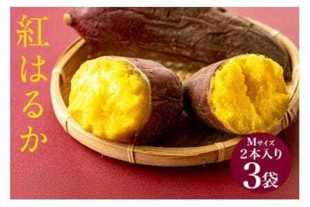 Ăi g͂邩 jMTCY 2{ 3 ( v6{ ) Ă Ă Ĉ ܂ Tc}C ܈   XC[c َq fU[g aَq  Y Ƃ  Mtg 