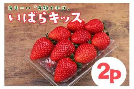 y2026Ns\zn u ΂LbX v2p v 540g n  2pbN Â x t  { t[c ʕ fU[g Mtg p Y ̂ VN Yn 錧 Ήs (A31-005)