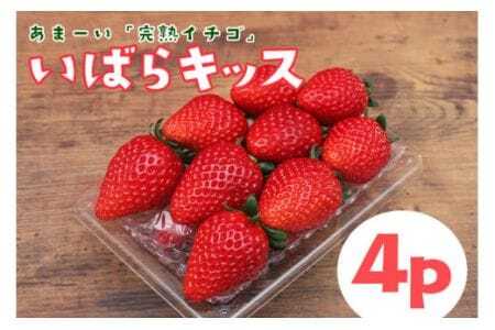 y2026Ns\zn u ΂LbX v4p 1kg ȏ n  4pbN Â x t  { t[c ʕ fU[g Mtg p Y ̂ VN Yn 錧 Ήs (A31-00