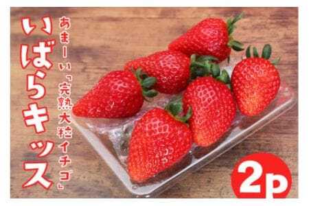 y2026Ns\zn嗱 u ΂LbX v2p v 540g n  2pbN Â x t  { t[c ʕ fU[g Mtg p Y ̂ VN Yn 錧 Ήs (A3