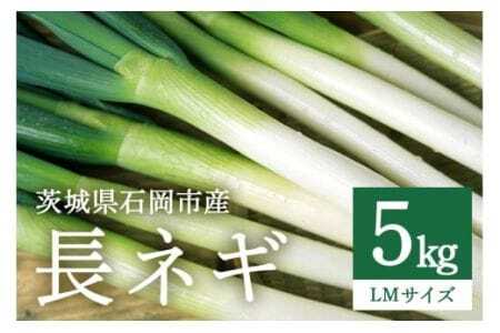 lM LEMTCY 5kg (A34-003)