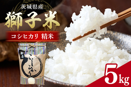 [令和7年産]獅子米 コシヒカリ 精米 5kg 岡田ファーム コンテスト受賞米 お米 白米 おこめ ブランド こしひかり 5キロ 国産 単一原料 コメ こめ ご飯 銘柄米 茨城県産 茨城 産直 産地直送 農家直送 ごはん 家庭用 贈答用 お取り寄せ ギフト 茨城県 石岡市 (B02-001)