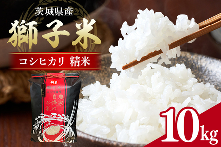[令和7年産]獅子米 コシヒカリ 精米 10kg 岡田ファーム コンテスト受賞米 お米 白米 おこめ ブランド こしひかり 10キロ 国産 単一原料 コメ こめ ご飯 銘柄米 茨城県産 茨城 産直 産地直送 農家直送 ごはん 家庭用 贈答用 お取り寄せ ギフト 茨城県 石岡市 (B02-002)