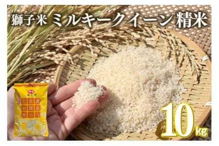 [令和7年産]獅子米 ミルキークイーン 精米 10kg 岡田ファーム お米 白米 米 おこめ ブランド ミルキー 10キロ 国産 単一原料 コメ こめ ご飯 銘柄米 茨城県産 茨城 産直 産地直送 農家直送 ごはん 家庭用 贈答用 お取り寄せ ギフト 茨城県 石岡市 (B02-006)