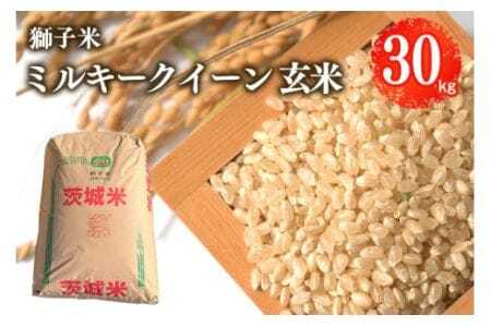 [令和7年産]獅子米 ミルキークイーン 玄米 30kg お米 おこめ ブランド ミルキー 30キロ 国産 単一原料 コメ こめ ご飯 銘柄米 茨城県産 茨城 産直 産地直送 農家直送 ごはん 家庭用 贈答用 お取り寄せ ギフト 茨城県 石岡市 (B02-008)