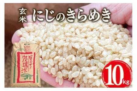 [令和7年産]獅子米 にじのきらめき 玄米 10kg 岡田ファーム お米 おこめ ブランド にじのひらめき 10キロ 国産 単一原料 コメ こめ ご飯 銘柄米 茨城県産 茨城 産直 産地直送 農家直送 ごはん 家庭用 贈答用 お取り寄せ ギフト 茨城県 石岡市 (B02-011)