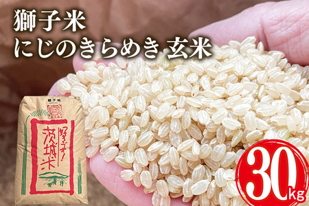 [令和7年産]獅子米 にじのきらめき 玄米 30kg 岡田ファーム お米 おこめ ブランド にじのひらめき 30キロ 国産 単一原料 コメ こめ ご飯 銘柄米 茨城県産 茨城 産直 産地直送 農家直送 ごはん 家庭用 贈答用 お取り寄せ ギフト 茨城県 石岡市 (B02-012)