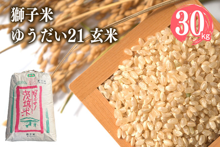 [令和7年産]獅子米 ゆうだい21 玄米30kg 岡田ファーム あなたが選ぶ日本一おいしい米コンテスト 最優秀金賞 受賞 お おこめ ブランド 30キロ 国産 単一原料 コメ こめ ご飯 銘柄米 茨城県産 茨城 産直 産地直送 農家直送 ごはん 家庭用 贈答用 お取り寄せ ギフト 茨城県 石岡市 (G433) (B02-016)