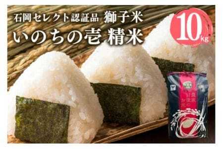 [令和7年産]獅子米 いのちの壱 精米 10kg 岡田ファーム コンテスト受賞米 お米 白米 おこめ ブランド 10キロ 国産 単一原料 コメ こめ ご飯 銘柄米 茨城県産 茨城 産直 産地直送 農家直送 ごはん 家庭用 贈答用 お取り寄せ 茨城県 石岡市 (B02-018)
