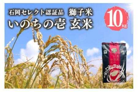 [令和7年産]獅子米 いのちの壱 玄米 10kg 岡田ファーム コンテスト受賞米 お おこめ ブランド 10キロ 国産 単一原料 コメ こめ ご飯 銘柄米 茨城県産 茨城 産直 産地直送 農家直送 ごはん 家庭用 贈答用 お取り寄せ 茨城県 石岡市 (B02-019)