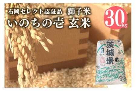 [令和7年産]獅子米 いのちの壱 玄米 30kg 岡田ファーム コンテスト受賞米 お おこめ ブランド 30キロ 国産 単一原料 コメ こめ ご飯 銘柄米 茨城県産 茨城 産直 産地直送 農家直送 ごはん 家庭用 贈答用 お取り寄せ 茨城県 石岡市 (B02-020)
