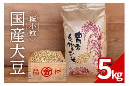 大豆 5kg 極小粒 岡田ファーム だいず ダイズ 国産 小粒 料理 煮豆 豆乳 納豆 用途多彩 健康食品 高たんぱく 保存食 産地直送 送料無料 (B02-024)