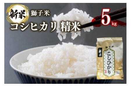 �y2�������z���q�� �R�V�q�J�� ���� 5kg ���c�t�@�[�� �R���e�X�g��ܕ� ���� ���� �� ������ �u�����h�� �����Ђ��� 5�L�� ���Y �P�ꌴ���� �R�� ���� ���� ������ ��錧�Y ��� �Y�� �Y�n��