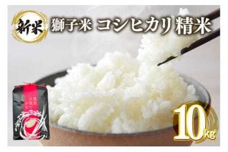 �y3�������z���q�� �R�V�q�J�� ���� 10kg ���c�t�@�[�� �R���e�X�g��ܕ� ���� ���� �� ������ �u�����h�� �����Ђ��� 10�L�� ���Y �P�ꌴ���� �R�� ���� ���� ������ ��錧�Y ��� �Y�� �Y�n