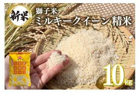 �y2�������z���q�� �~���L�[�N�C�[�� ���� 10kg ���c�t�@�[�� ���� ���� �� ������ �u�����h�� �~���L�[ 10�L�� ���Y �P�ꌴ���� �R�� ���� ���� ������ ��錧�Y ��� �Y�� �Y�n���� �_�ƒ���