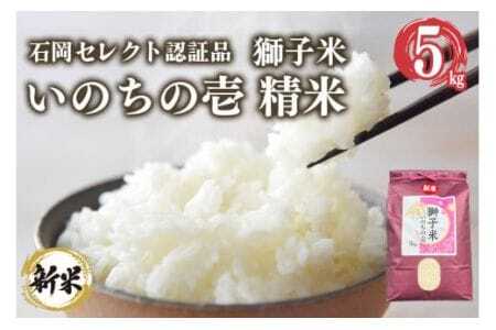 �y2�������z���q�� ���̂��̈� ���� 5kg ���c�t�@�[�� �R���e�X�g��ܕ� ���� ���� �� ������ �u�����h�� 5�L�� ���Y �P�ꌴ���� �R�� ���� ���� ������ ��錧�Y ��� �Y�� �Y�n���� �_�ƒ���