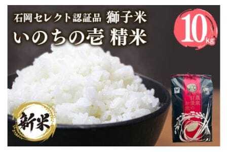 �y3�������z���q�� ���̂��̈� ���� 10kg ���c�t�@�[�� �R���e�X�g��ܕ� ���� ���� �� ������ �u�����h�� 10�L�� ���Y �P�ꌴ���� �R�� ���� ���� ������ ��錧�Y ��� �Y�� �Y�n���� �_�ƒ�