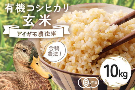 [令和7年産]有機 コシヒカリ 玄米 10kg 有機栽培 有機米 特別栽培米 合鴨農法 こしひかり お米 おこめ ブランド こしひかり 10キロ 国産 単一原料 コメ こめ ご飯 銘柄米 茨城県産 茨城 産直 産地直送 農家直送 ごはん 家庭用 贈答用 茨城県 石岡市 (B03-004)