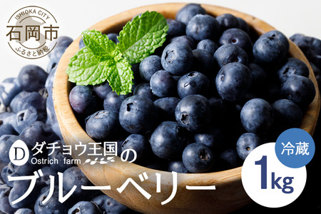 [ 2026年 先行予約 ] フレッシュ ブルーベリー 1kg ダチョウ王国産 ( 500g 2パック ) 生 品種 お任せ 新鮮 完熟 冷蔵 農薬 栽培期間中 不使用 1キロ 果物 フルーツ 国産 産地直送 農家直送 産直 夏 6月 7月 8月 発送 くだもの 茨城 茨城県 石岡市 (C05-001)