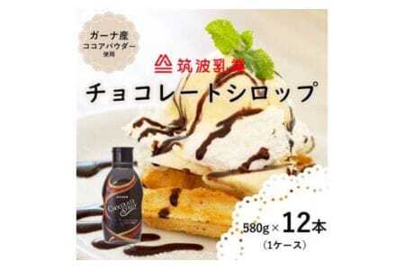 [大容量]チョコレートシロップ 580g × 12本 ( チョコレートソース ) チョコ チョコレート チョコレートシロップ アイス アイスクリーム 大容量 ガーナ産 ココア パウダー使用 ドリンク パン ケーキ 料理 トッピング しっとり 甘い 茨城県 石岡市 (E18-003)