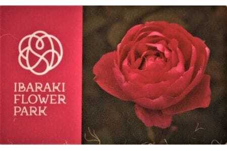 ΂炫t[p[N NԃpX|[g 1  lG̉ԁX Xg Tt ΂炫 t[p[N `Pbg   ό s Ƒ  ֓ߕ s ֓