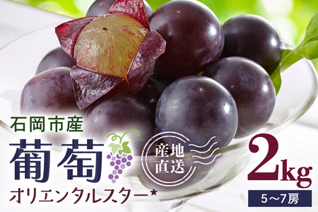 y 2026N s\ z IG^X^[iȂj 2kg JcԂǂ 5[ ` 7[ Ԃǂ uhE Y ʕ   t[c 2L 9   H { i 錧Y Yn Y _