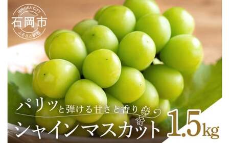 y 2025N s\ z VC}XJbg1.5kg ΓcԂǂ 3[ ` 4[ Ȃ Ԃǂ uhE Y ʕ  嗱  햳 t[c 1.5L 9 10  H { i 錧Y Yn